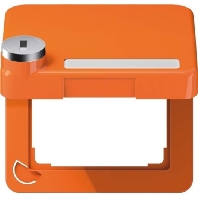 Frame 1-gang orange CD 590 BFKLSL O