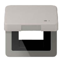 Frame 1-gang platinum CD 590 KL USB PT