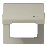 Frame 1-gang stainless steel ES 2990 KL SOC