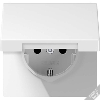 Socket outlet (receptacle) LS 1520 BFKIKL O