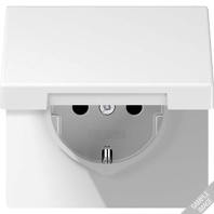 Socket outlet (receptacle) LS 1520 BFKIKL RT