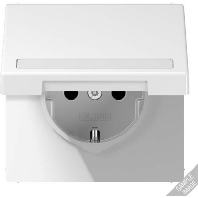 Socket outlet (receptacle) LS 1520 BFNAKL SW
