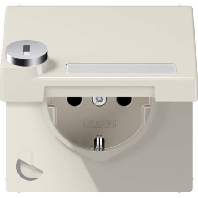 Socket outlet (receptacle) LS 1520 NAKLSL