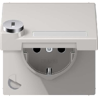 Socket outlet (receptacle) LS 1520 NAKLSL LG