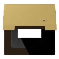 Frame 1-gang brass ME 2990 KL USB C