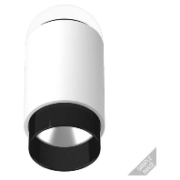 Ceiling-/wall luminaire PL S1 WD05 WW SW