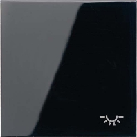 Cover plate grey LS 990 T LG