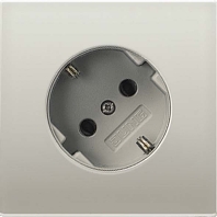 Socket outlet (receptacle) ES 2520-45