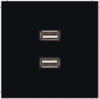 Multimedia-Anschluss sw 2 x USB m.Tragring MA LS 1153 SW