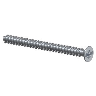 Gerteschraube, PlusMinus 3,2x40mm, gvz 2472-40