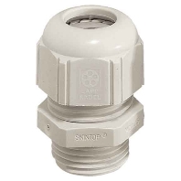 Cable gland M50 STR-M50x1,5 R7001SGY