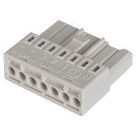 Anschlussstecker 7-pol. 704794000005