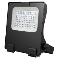 Downlight/spot/floodlight 455004000018