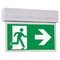 LED-Rettungszeichenleuchte zentrale Versorgung SL48U009