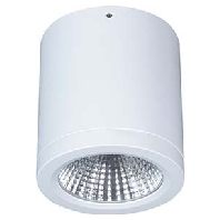 Downlight/spot/floodlight 1x15W BTNM 101.30.55 ws