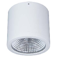 Downlight/spot/floodlight 1x24W BTNM 202.30.55 ws
