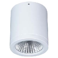 Downlight/spot/floodlight 1x15W BTNM 101.40.55 WS