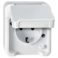 SCHUKO-Steckdose lichtgrau MEG2400-8029