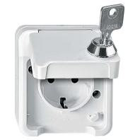 SCHUKO-Steckdose lichtgrau MEG2422-8029