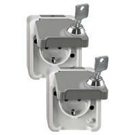 SCHUKO-Steckdose lichtgrau MEG2424-8029