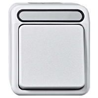 Push button 1 make contact (NO) grey MEG3154-8029