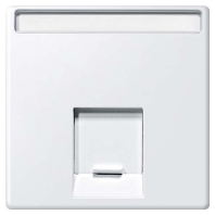 Zentralplatte 1fach polarws MEG4573-0419