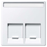 Zentralplatte 2fach polarws MEG4574-0419