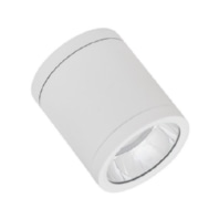 Ceiling-/wall luminaire DLSUR.DN90P1583036DW