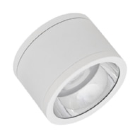 Ceiling-/wall luminaire DLSU.DN160P3084036DW