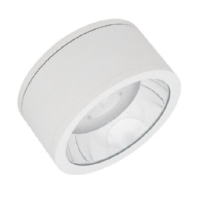 Ceiling-/wall luminaire DLSU.DN250P4584060DW