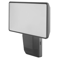 Downlight/spot/floodlight EPROFLOODS274KIP55DG