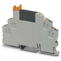 Solid-State-Relaismodul Ausgang: 3-33VDC RIF0-OPT-24DC/24DC/2