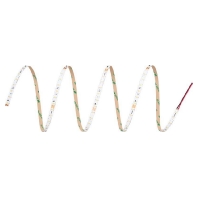 Light ribbon-/hose/-strip 22...25V white RSTA2015