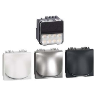 Stufenbeleuchtung 2 Module LN4361