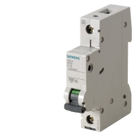 Miniature circuit breaker 1-p B63A 5SL4163-6