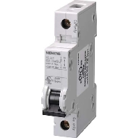 Miniature circuit breaker 1-p C8A 5SJ4108-7HG40