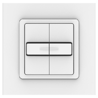 2-pole switch and push switch 1800505