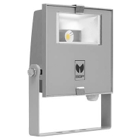 Spot light/floodlight 1x28W 306523