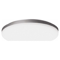 LED-Wand-u. Deckenleuchte 3000K/4000K 3105559