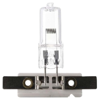 Mikroskoplampe 53mm PY24-1,5 12V 50W 11539