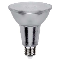 LED-lamp/Multi-LED 220...240V E27 white 31341