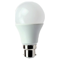 LED-lamp/Multi-LED 10...36V B22d white 31720