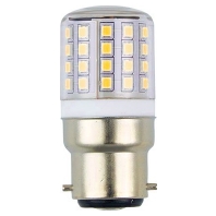 LED-lamp/Multi-LED 24...30V B22d white 31587