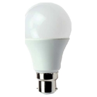 LED-Lampe B22 3000K 31667
