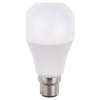 LED-Lampe B22d 2700K 31877
