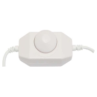 Light controller/light sensor 34689