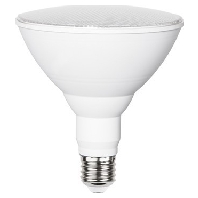 LED-Pflanzenleuchte PAR38 E27 35080