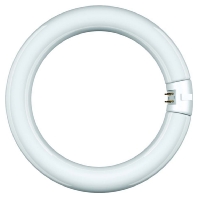 Leuchtstofflampe Ringf. T9 29x216mm G10q 22W840 68814