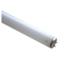Leuchtstofflampe T12 38x590mm G13 40W 68323