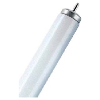 Fluorescent lamp 20W 38mm 4100K 45239